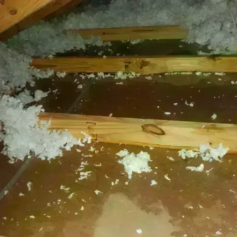 Attic Water Damage in Jasper, FL