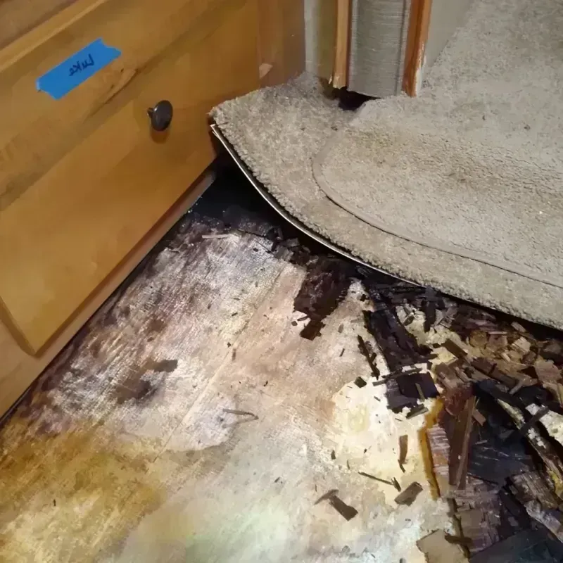 Wood Floor Water Damage in Jasper, FL